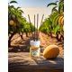 thumbnail image 2 of Eau de Parfum Mango Difusor Eyfel 120 ml, 2 of 7