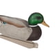 thumbnail image 2 of Señuelo De Plástico Para Pato Silvestre, Estilo De Texas, Caza Mortal, Señuelo Para Pesca, Drake, 2 of 3