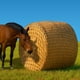 thumbnail image 1 of Red redonda para heno NETYSAY de 5 x 5 pies para caballos, agujero de 2 pulgadas, 1 of 8
