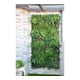 thumbnail image 3 of Jardin Vertical Papua, 3 of 4