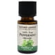 thumbnail image 2 of Aceite Esencial Orgánico - Menta Piperita, 2 of 3