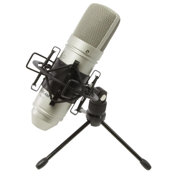 Micrófono Tascam TM-80 de condensador de diafragma grande, color plata