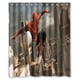 thumbnail image 1 of Cortina de ducha de Spider-Man, juego de cortina de baño con ganchos, tamaño 60 x 72 pulgadas, 1 of 3