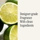 thumbnail image 4 of Difusor de aire Smart Home Perfuance Pura Smart Scent, paquete de 2, 4 of 7