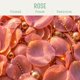 thumbnail image 2 of Set de Perfume Panier des Sens Rosa + Crema de Manos – Regalo, 2 of 6