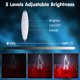 thumbnail image 4 of Letrero de neón LED musical BNBIDEN 41x27 cm Hamilton, 4 of 6