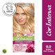 thumbnail image 1 of Coloración Cabello 9.0 Rubio muy Claro, 1 of 1