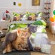 thumbnail image 1 of Cute Pet Cat Kitten Animal Quilt Duvet Cover Set Bedroom Decor Bedclothes3-Piece Bedding Set, 1 of 5