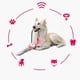 thumbnail image 3 of Pet Molar Bite Toy, Durable Dog Tug Rope Ball Toy With Suction Cup Dog Teeth Cleaning Treats, 3 of 4