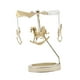 thumbnail image 1 of Spinning Tea Light Portavelas Adorno Para Amantes De Las Velas Candelabro Giratorio Caballo, 1 of 3
