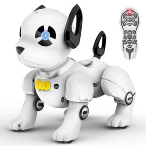 Juguete Robot Para Perros Supireo Con Control Remoto Programable Para Niños