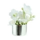 thumbnail image 5 of Maceta En Miniatura Para Casa De Muñecas, Modelo De Maceta Para Decoración De Casa De Muñecas, Flores Blancas, 1/12, 5 of 5