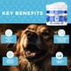 thumbnail image 5 of Masticables Suaves Y Pegajosos Para Limpiar La Boca Y Los Dientes De Los Perros Medii Cuidado Bucal, 5 of 9