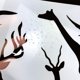 thumbnail image 4 of Plantillas de pintura de animales CSPRING 12 piezas 30 × 21 cm, 4 of 6