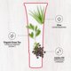 thumbnail image 3 of Crema para rostro y cuello Artnaturals 50 ml, 3 of 7