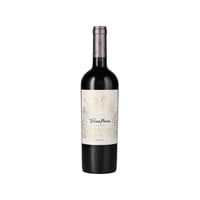 Vino Tinto Merlot Gran Reserva 13.5° Botella 750 Ml Terrapura