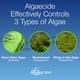 thumbnail image 2 of Algicida Aquascape 9.5L Control de Algas a Gran Escala, 2 of 7