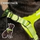thumbnail image 5 of Arnés Petlounge Easy Glam Mascotas Perros Talla M verde, 5 of 8