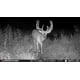 thumbnail image 2 of Cámara Trail Stealth Cam Fusion X-Pro Dual Sim de 36 MP, 2 of 7