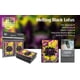 thumbnail image 3 of Fundas para Cartas Realm Guard Mate 100 unidades Melting Black Lotus, 3 of 4