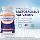 thumbnail image 2 of Suplemento Vitamático Lactobacillus Salivarius 2b Cfu 60 Cápsulas, 2 of 3
