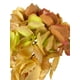 thumbnail image 3 of Hortensia Rosa 52cm Con Textura Realista, 3 of 3