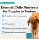 thumbnail image 2 of Masticables Multivitamínicos 25 en 1 Natural Dog Company 180 unidades, 2 of 8