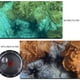 thumbnail image 5 of Puerto domo para GoPro Hero 8 Black GEPULY con funda impermeable, 5 of 9