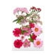 thumbnail image 1 of Kits De Hojas Secas De Flores Prensadas Secas Para álbumes De Recortes, Sobres, Marcadores, Mezcla Rosa, 1 of 5