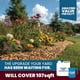 thumbnail image 4 of Concentrado De Pegamento Para Mulch Easihold Para Jardinería 2 L, 4 of 9