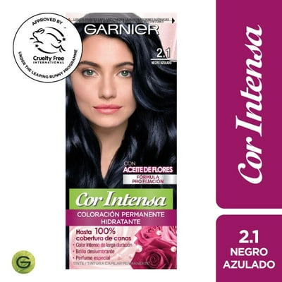 Coloración Cabello 2.1 Negro Azulado Cor Intensa Garnier