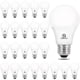 thumbnail image 1 of Ampolleta LED Energetic A19 8W 5000K E26 Pack 24, 1 of 3