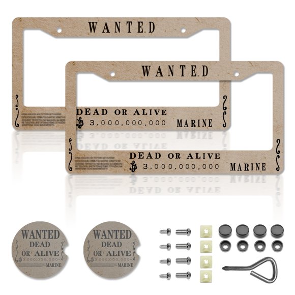 Marco para placa DGDRHZ de aleación de aluminio 31 × 15 cm