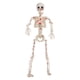 thumbnail image 4 of Figura De Esqueleto De Halloween Articulada, Decorativa Para Césped Interior., 4 of 5