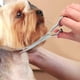 thumbnail image 4 of Tijeras de peluquería canina, tijeras de adelgazamiento/curvas de acero inoxidable con revestimiento de titanio de alto rendimiento, 4 of 5