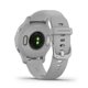 thumbnail image 5 of Smartwatch Venu 2S Mist Grey Passivated, 5 of 8