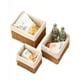 thumbnail image 2 of Juego De 3 Cestas 26Cmx20Cmx11.5Cm Color Café, 2 of 4