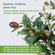 thumbnail image 4 of Árbol de Olivo Artificial NOVAROOT 183 cm con Maceta y Luces, 4 of 9