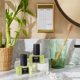 thumbnail image 4 of Frascos de recarga para difusor de pared NEST New York Bamboo, 20 ml, 2 unidades, 4 of 7