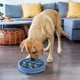 thumbnail image 5 of Dog Bowl Outward Hound Fun Feeder Slo Bowl, alimentador lento, azul, 5 of 6