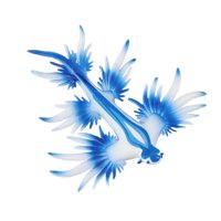 Bothyi - Figuras De Modelo De Babosa Marina De Simulación, Estatuilla De Animales Para Niños Pequeños