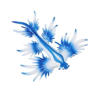 Bothyi - Figuras De Modelo De Babosa Marina De Simulación, Estatuilla De Animales Para Niños Pequeños