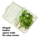 thumbnail image 5 of Herb Keeper OXO Good Grips GreenSaver 1,7 L, 5 of 9