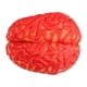 thumbnail image 3 of Accesorio De Terror De Halloween, Decoración De Fiesta De Cerebro Ensangrentado Falso, Festival, Partes Del Cuerpo Falsas, 3 of 5
