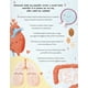 thumbnail image 3 of Historias del cuerpo humano en 5 minutos, 3 of 5