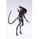 thumbnail image 1 of Figura de acción arbenmao 13 cm Alien Warrior, 1 of 8
