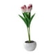 thumbnail image 2 of Tulipanes Creativos Flores Artificiales Con Luz LED Para Adorno De Aniversario Púrpura, 2 of 5