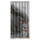 thumbnail image 1 of Cortina de ducha de gato gris, juego de cortina de baño con ganchos, tamaño 36 x 72 pulgadas, 1 of 3