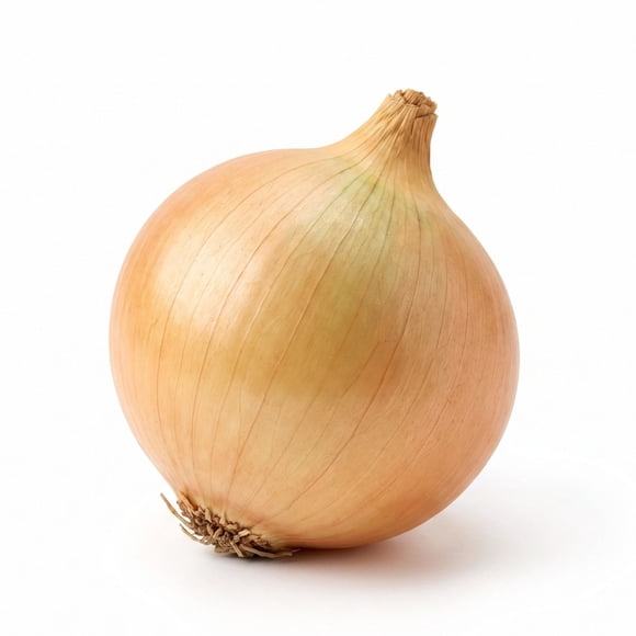 Cebolla Granel.