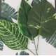 thumbnail image 4 of suxuMhao Hojas de Calathea Artificiales con Rayas Amarillas 30 Pzas,17 X 5.1in Plantas Falsas Realistas Plantas Falsas,Plantas Artificiales de Plástico para Exterior,Hojas Verdes para Paisaje de, 4 of 5